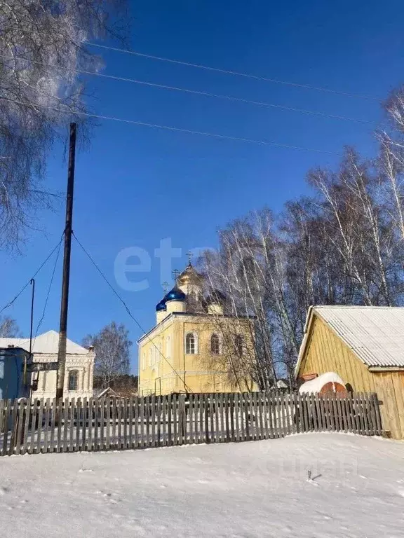 Участок в Пензенская область, Лунинский район, с. Большой Вьяс ... - Фото 1