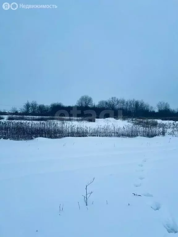 Участок в Калининградская область, Гвардейский муниципальный округ, ... - Фото 2