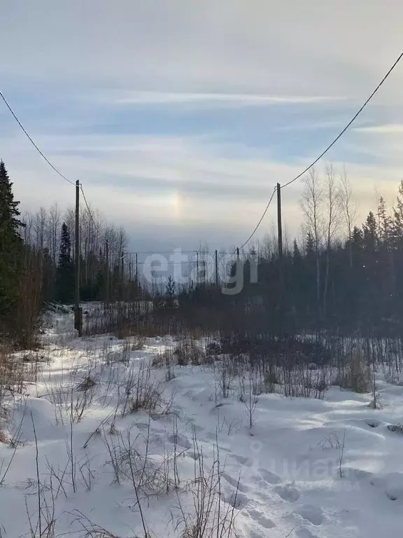 Участок в Ханты-Мансийский АО, Ханты-Мансийск Таволожное урочище,  ... - Фото 1