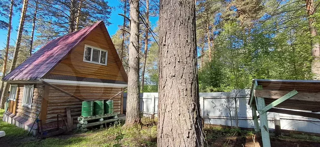 Дача 25 м на участке 12 сот. - Фото 0