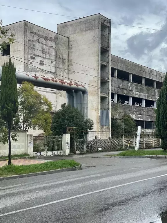 Помещение свободного назначения в Краснодарский край, Сочи ул. ... - Фото 2