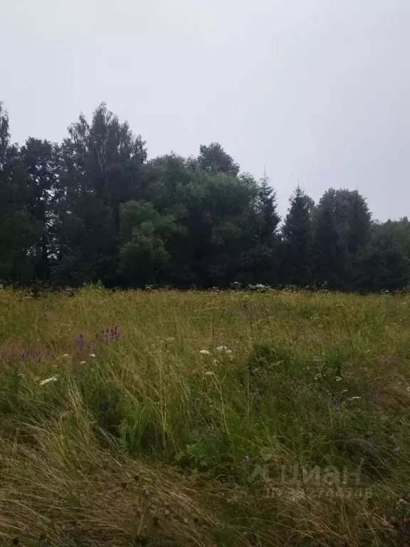 Участок в Московская область, Ступино городской округ, д. Чирково  ... - Фото 1