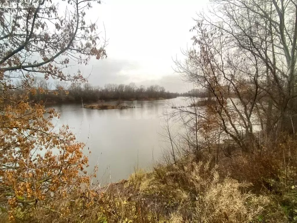 Участок в Карайганово, улица Кутушева (15 м) - Фото 1