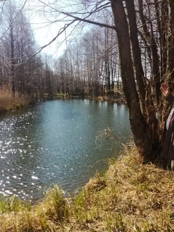 Участок в Нижегородская область, Богородский район, с. Хвощевка ... - Фото 0