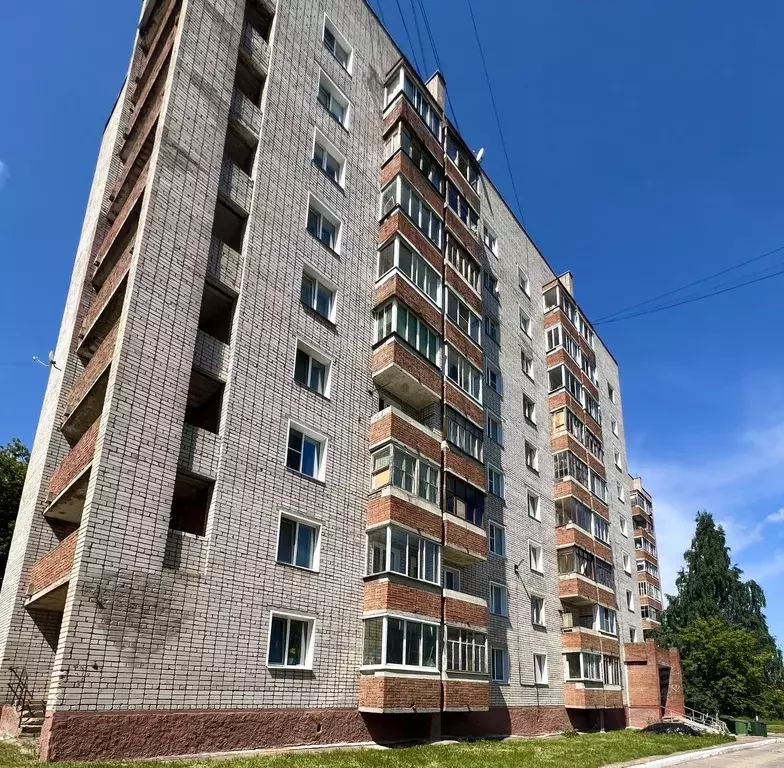 1-к кв. Кировская область, Кирово-Чепецк Сосновая ул., 40к1 (27.9 м) - Фото 1