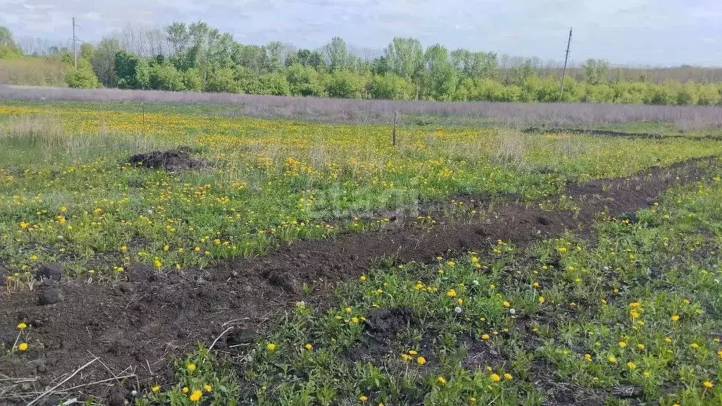 Участок в Белгородская область, Белгород  (15.2 сот.) - Фото 1