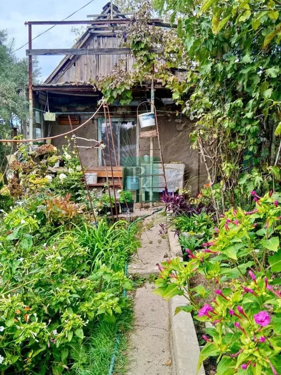 Дом в Севастополь Тополек садовое товарищество, 9 (18 м) - Фото 2