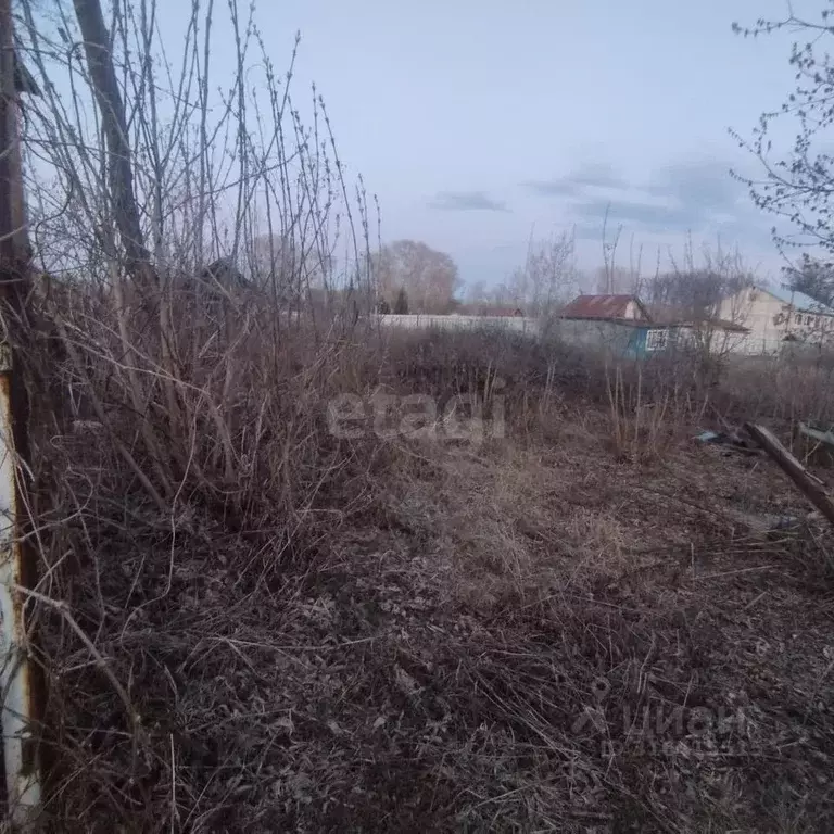 Участок в Оренбургская область, Оренбургский район, ... - Фото 1