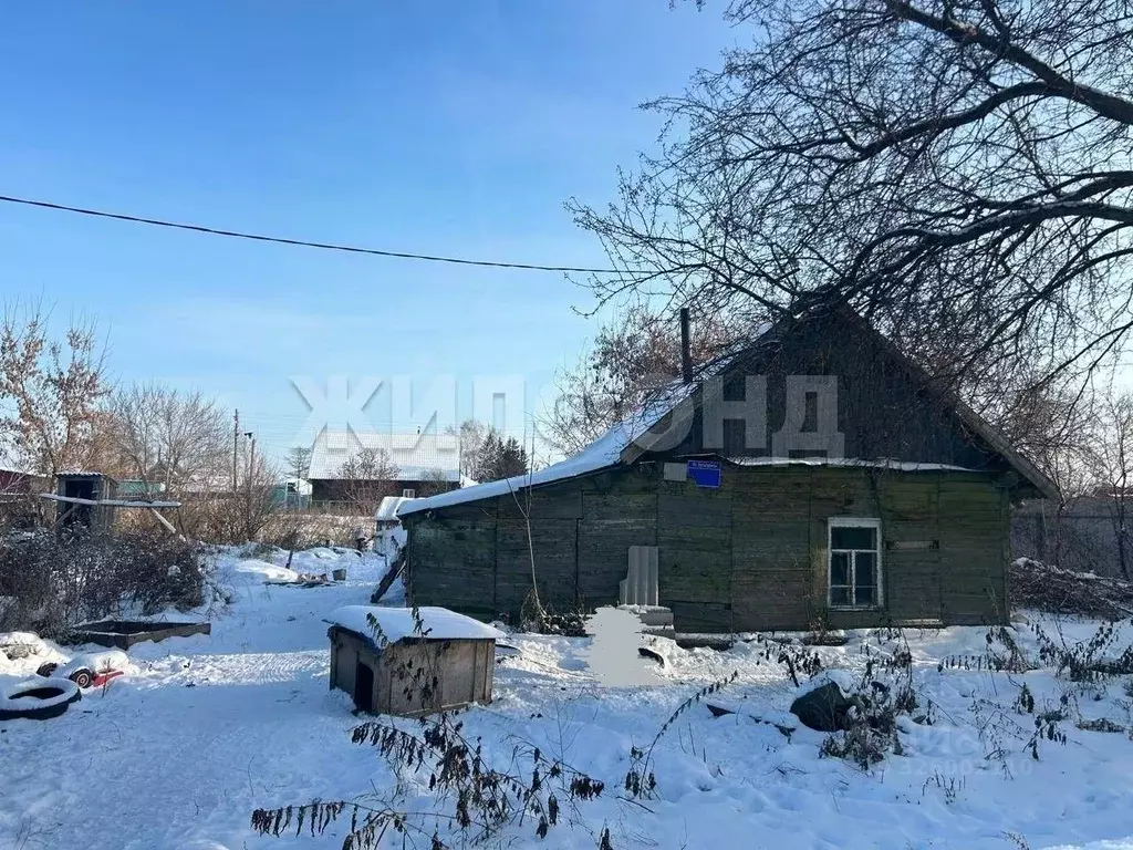 Дом в Новосибирская область, Коченево рп ул. Маяковского (20 м) - Фото 1