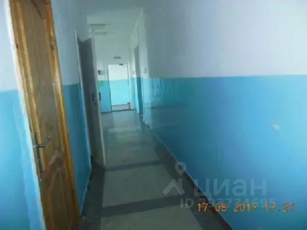Помещение свободного назначения в Омская область, Таврическое рп ул. ... - Фото 2