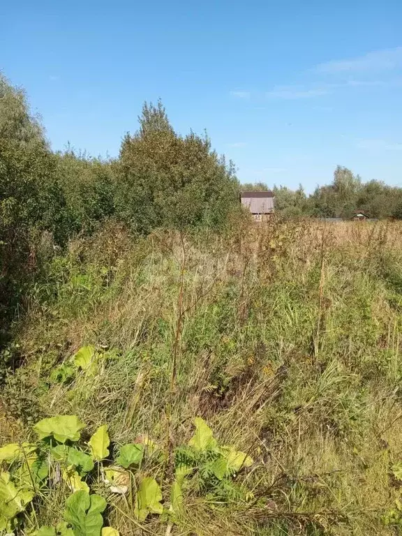 Участок в Московская область, Коломна городской округ, пос. . - Фото 1