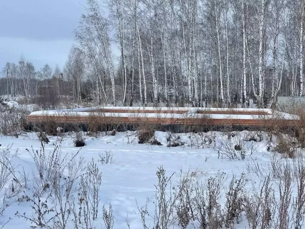 Участок в Челябинская область, Пласт ул. Розы Люксембург (11.7 сот.) - Фото 0