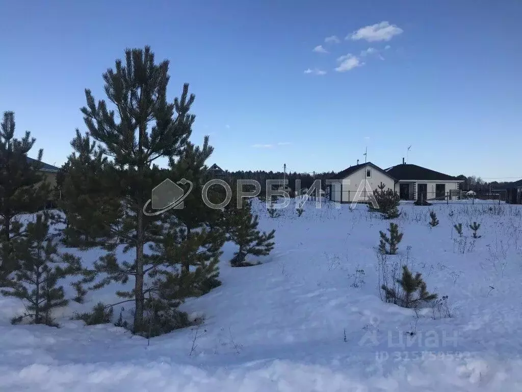 Участок в Тюменская область, Тюменский район, с. Кулига, Кулига-2 мкр  ... - Фото 1