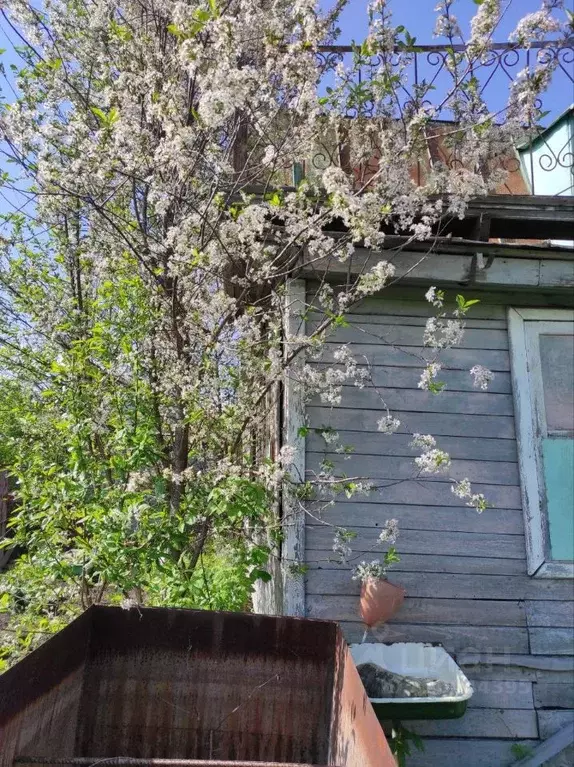 Дом в Алтайский край, Барнаул Восход СНТ, 291 (50 м) - Фото 0