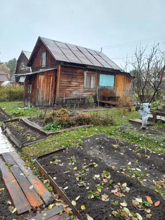 Участок в Новосибирская область, Новосибирский район, Новолуговской ... - Фото 1