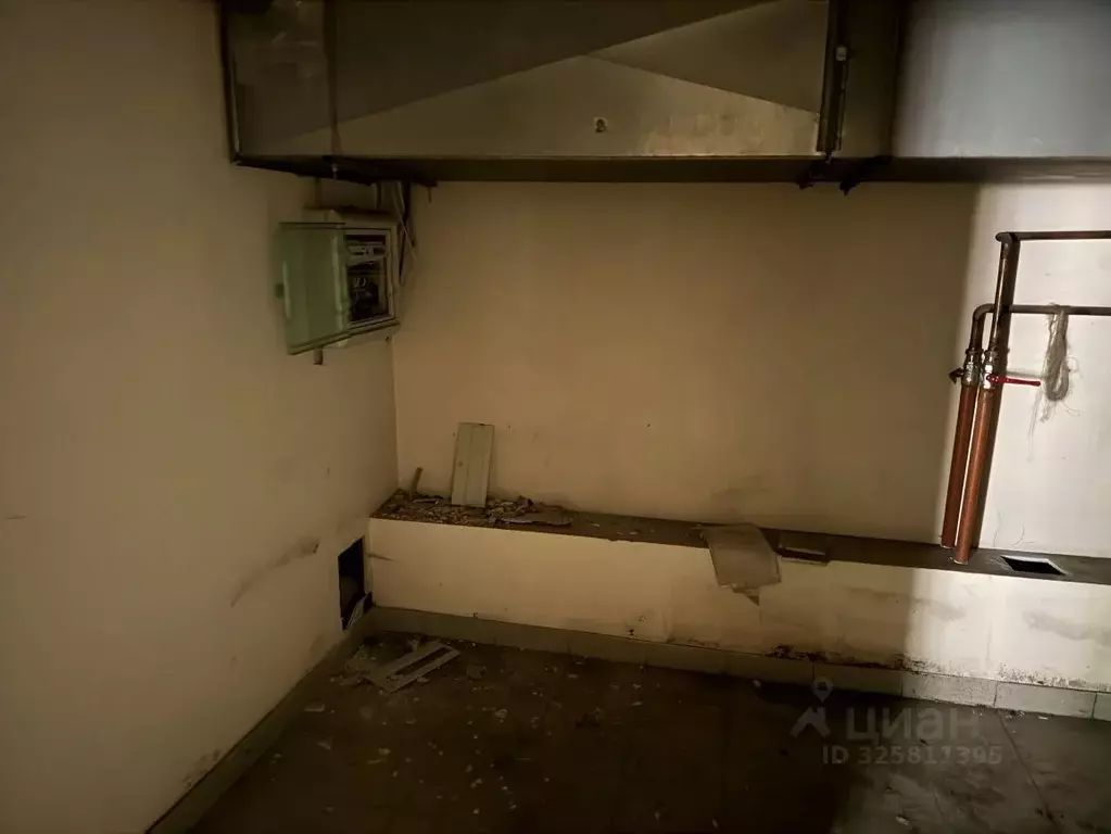 Помещение свободного назначения в Новосибирская область, Новосибирск ... - Фото 2