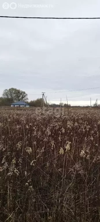 Участок в Зеленоградск, Радужная улица (10 м) - Фото 1