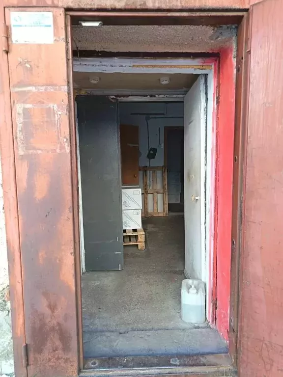 Помещение свободного назначения в Новосибирская область, Новосибирск ... - Фото 1