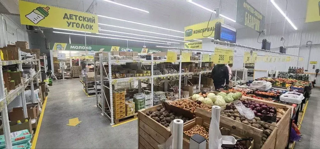 Торговая площадь в Самарская область, с. Кошки ул. Лесная, 6 (782 м) - Фото 2