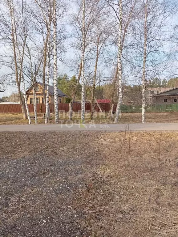 Участок в Новгородская область, Боровичский район, Опеченское с/пос, ... - Фото 1