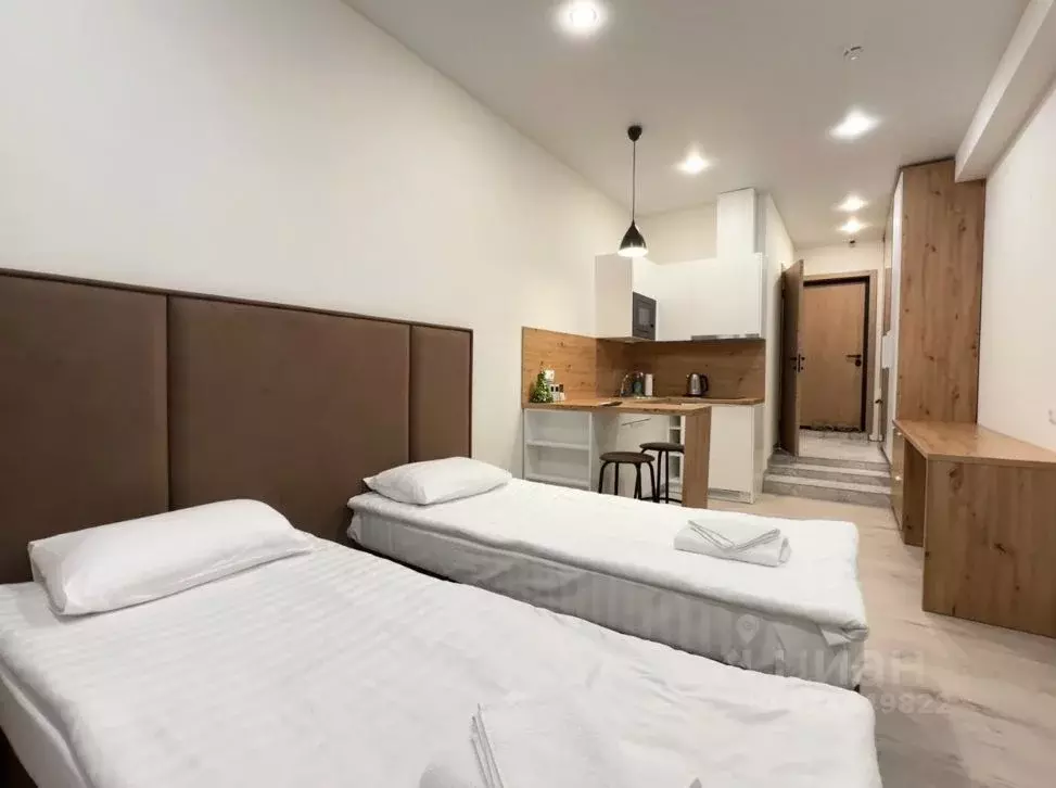 1-к кв. Татарстан, Казань ул. Толстого, 41 (25.0 м) - Фото 2