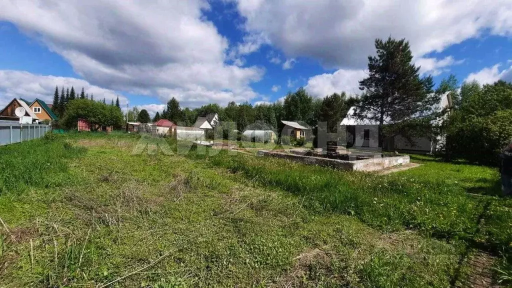 Участок в Новосибирская область, Искитимский район, Морозовский ... - Фото 1