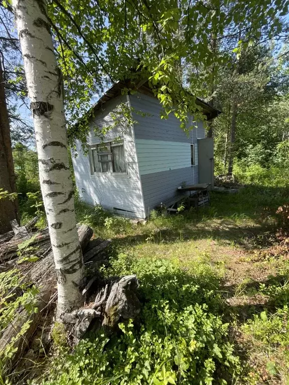 Участок в Архангельская область, Приморский муниципальный округ, ... - Фото 1