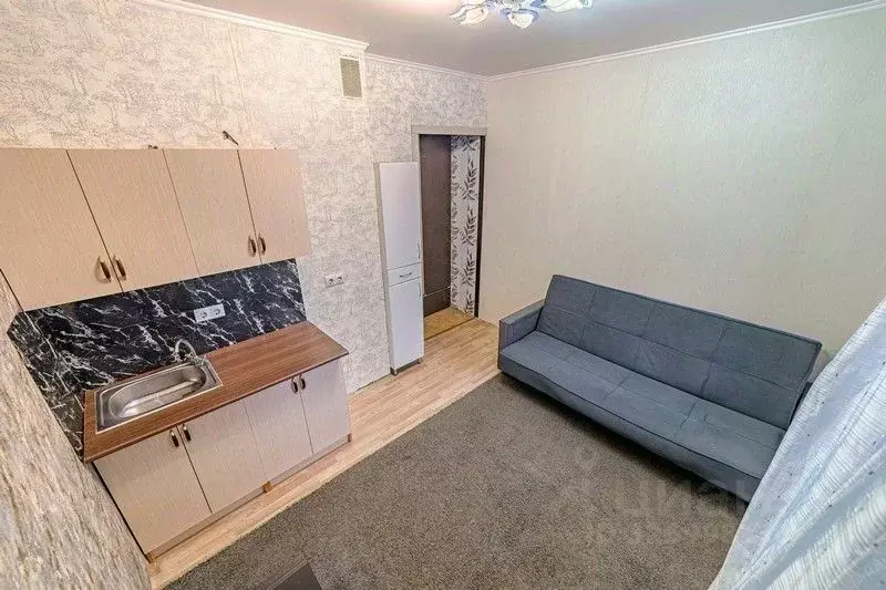 Студия Пензенская область, Пензенский район, Засечный сельсовет, с. ... - Фото 2