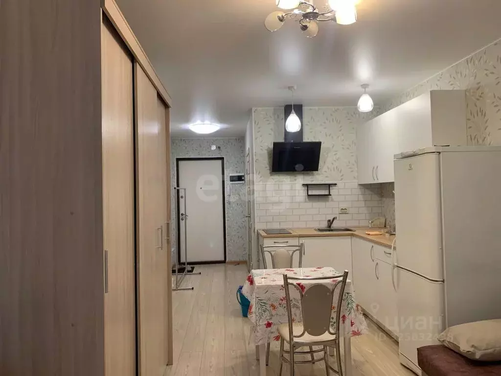 Студия Владимирская область, Владимир ул. Нижняя Дуброва, 47к3 (24.0 ... - Фото 1