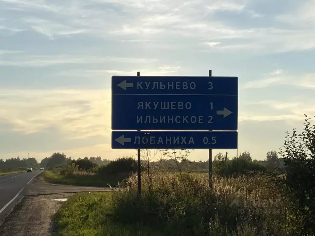Участок в Ярославская область, Ярославский муниципальный округ, д. ... - Фото 2