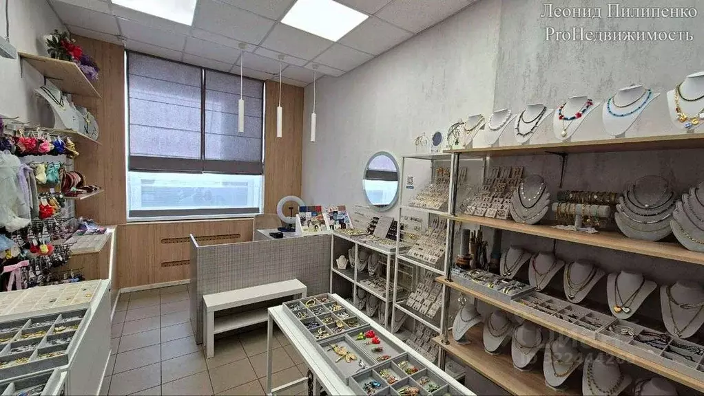 Торговая площадь в Самарская область, Самара ул. Мичурина, 15 (18 м) - Фото 2