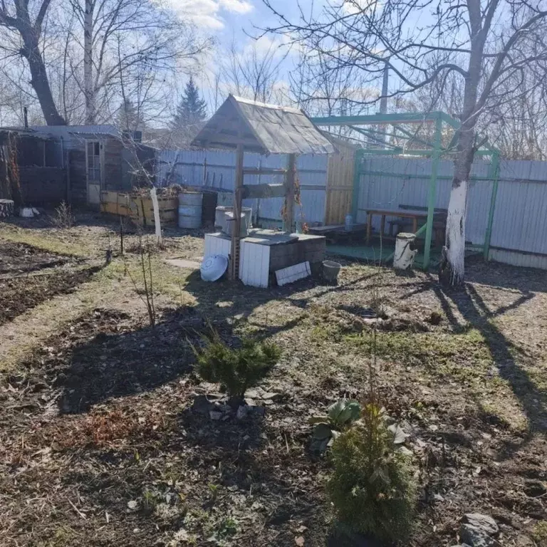 Участок в Омская область, Омск СОСН Колос-2 тер., аллея 6-я (5.29 ... - Фото 1