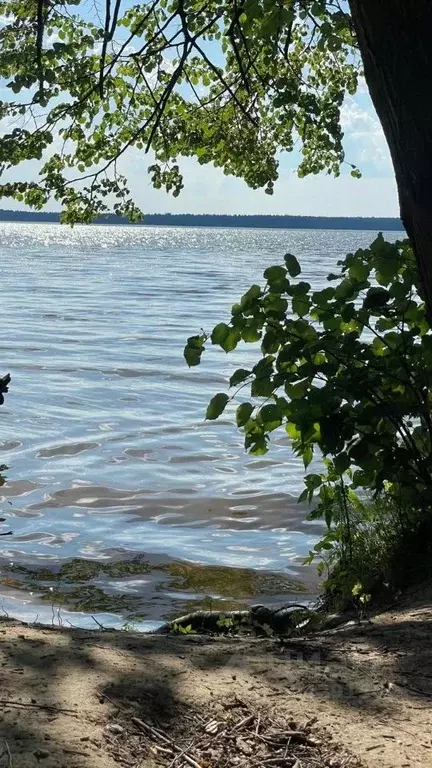 Участок в Московская область, Пушкинский городской округ, Правдинский ... - Фото 1