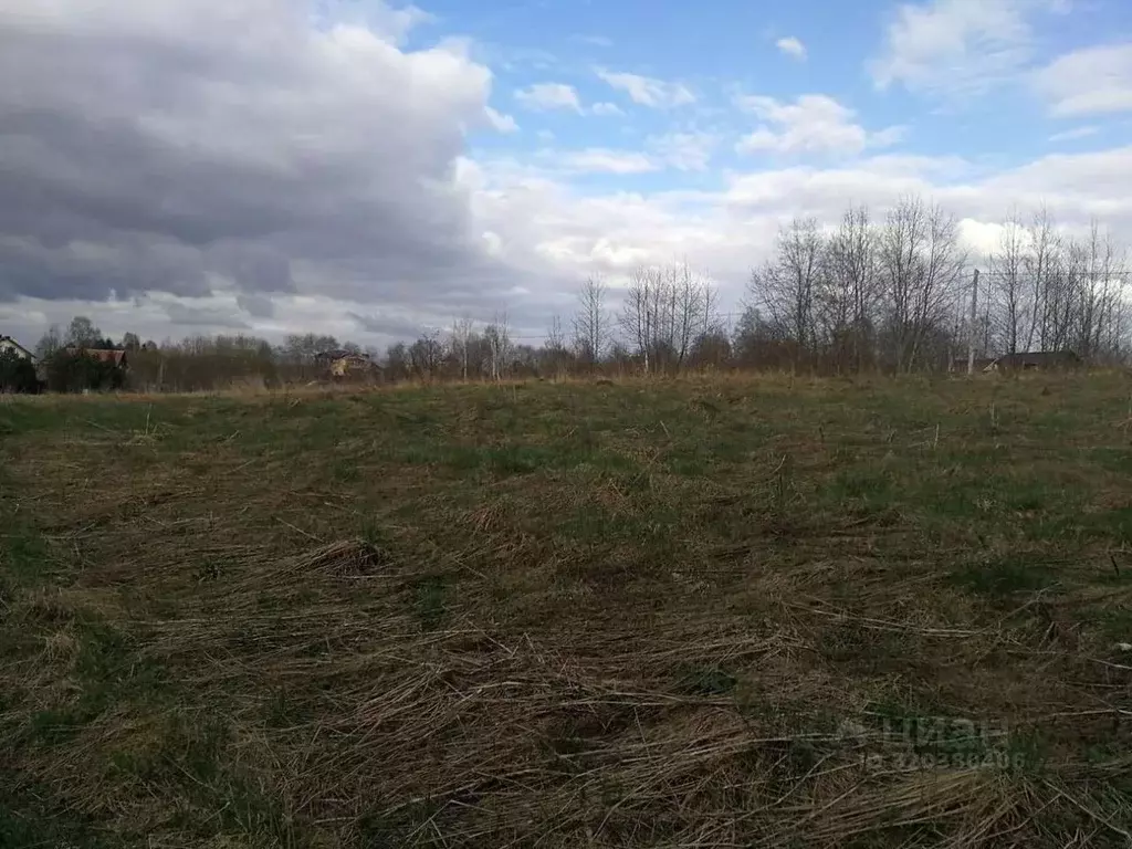 Участок в Смоленская область, Смоленский муниципальный округ, д. ... - Фото 1