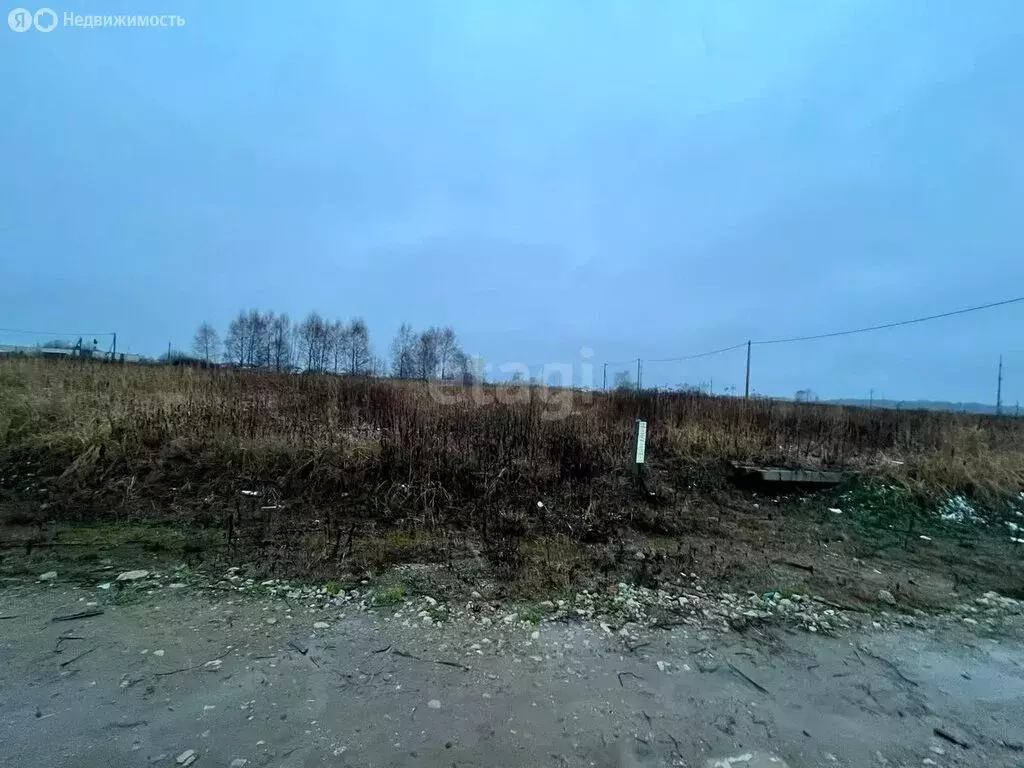 Участок в Калининградская область, Гурьевский муниципальный округ, ... - Фото 1