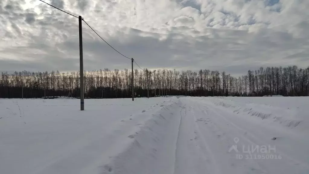 Участок в Московская область, Дмитровский муниципальный округ, д. ... - Фото 1