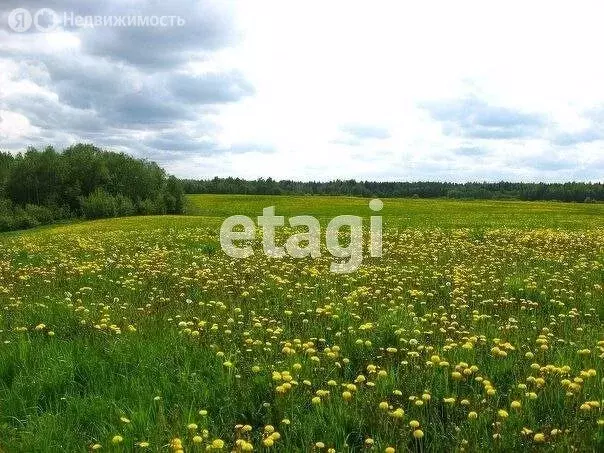 участок в тосненский район, любанское городское поселение, любань (10 . - Фото 0