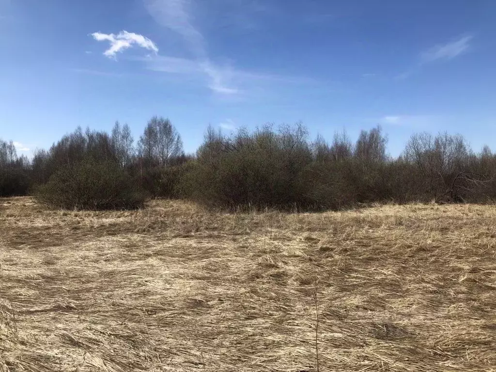 Участок в Нижегородская область, Богородский муниципальный округ, с. ... - Фото 0