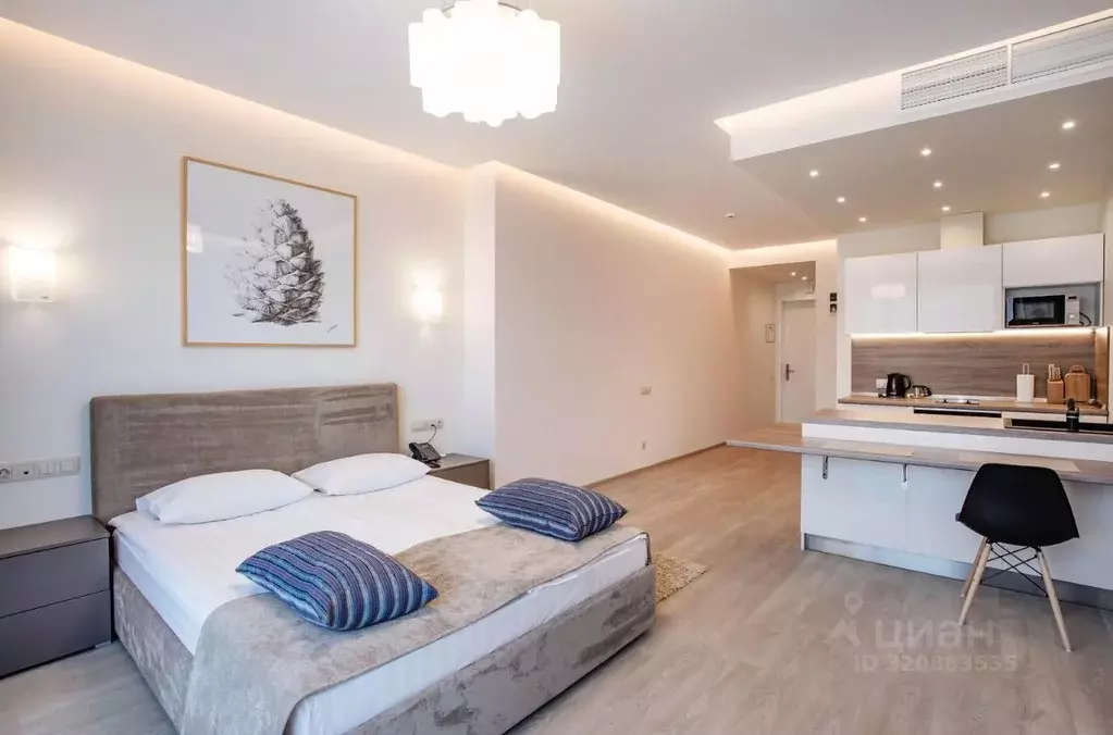 1-к кв. Санкт-Петербург пос. Репино, Приморское ш., 426 (36.0 м) - Фото 1