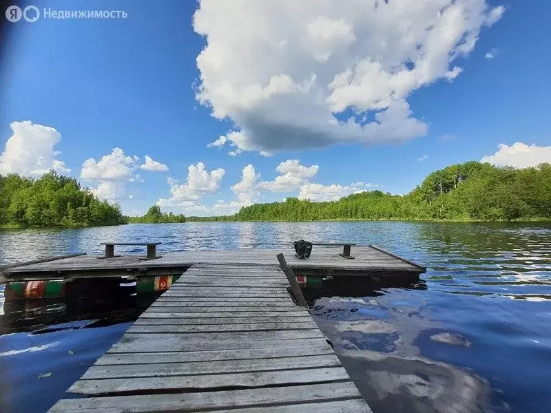 Дом в Псковская область, Плюсский муниципальный округ, деревня ... - Фото 1