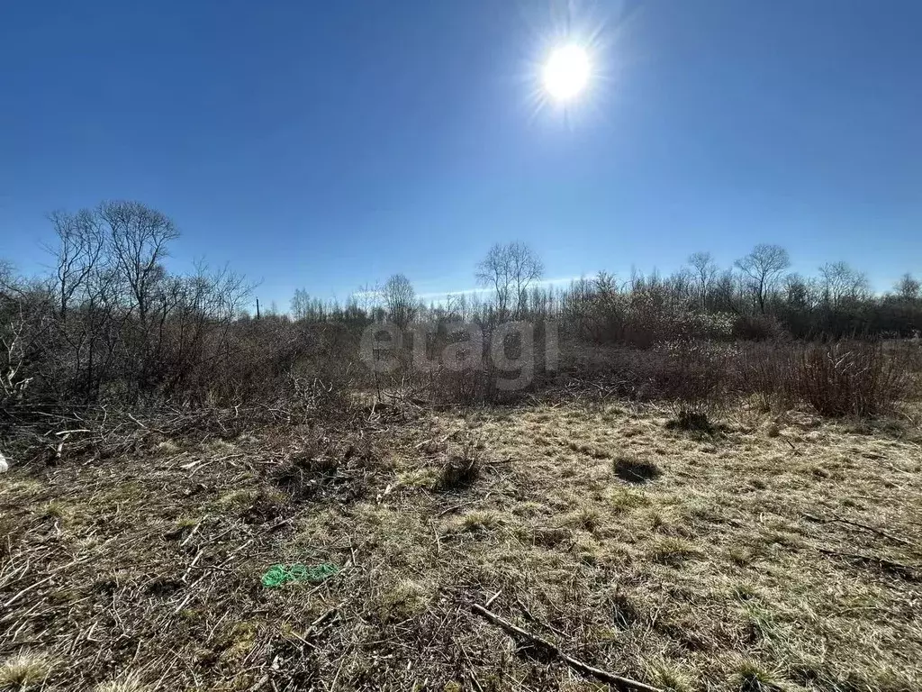 Участок в Псковская область, Псковский муниципальный район, ... - Фото 2