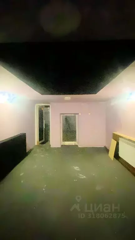 Помещение свободного назначения в Новосибирская область, Новосибирск ... - Фото 1
