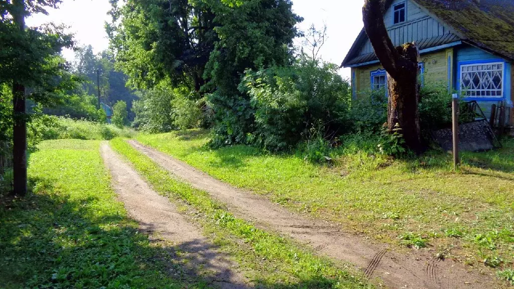 Участок в Псковская область, Куньинский район, д. Бегуново  (65.0 ... - Фото 0