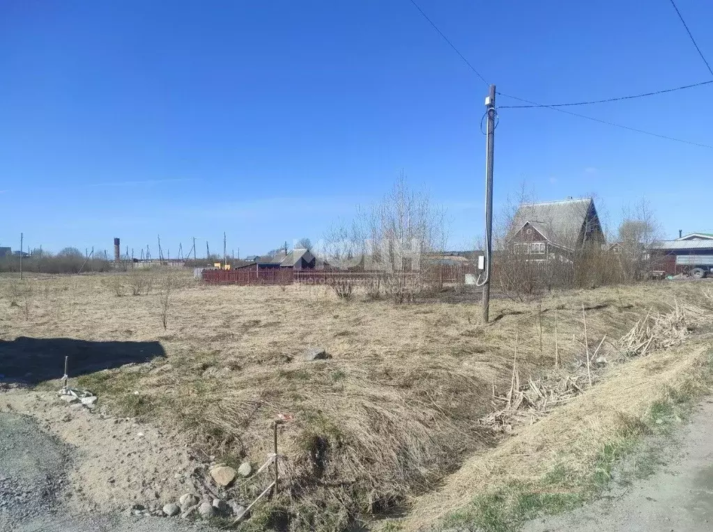 Участок в Карелия, Прионежский муниципальный район, пос. Шуя ул. ... - Фото 1