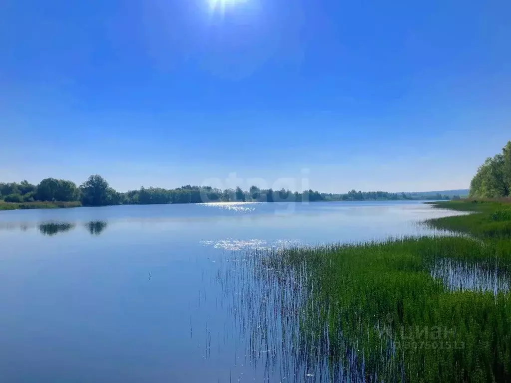 Участок в Московская область, Клин городской округ, Солнечный Берег дп ... - Фото 1