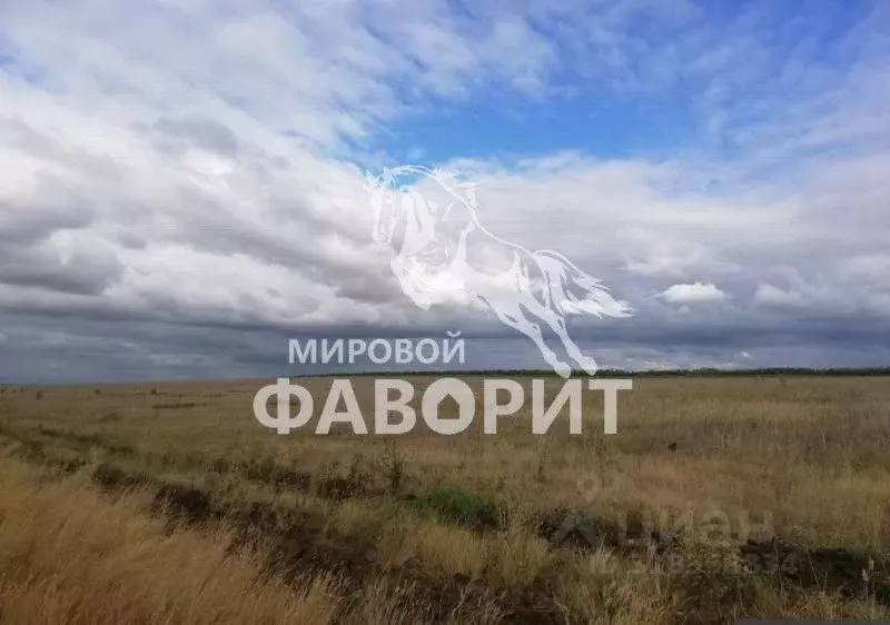Участок в Оренбургская область, Оренбургский район, пос. Ленина  ... - Фото 1