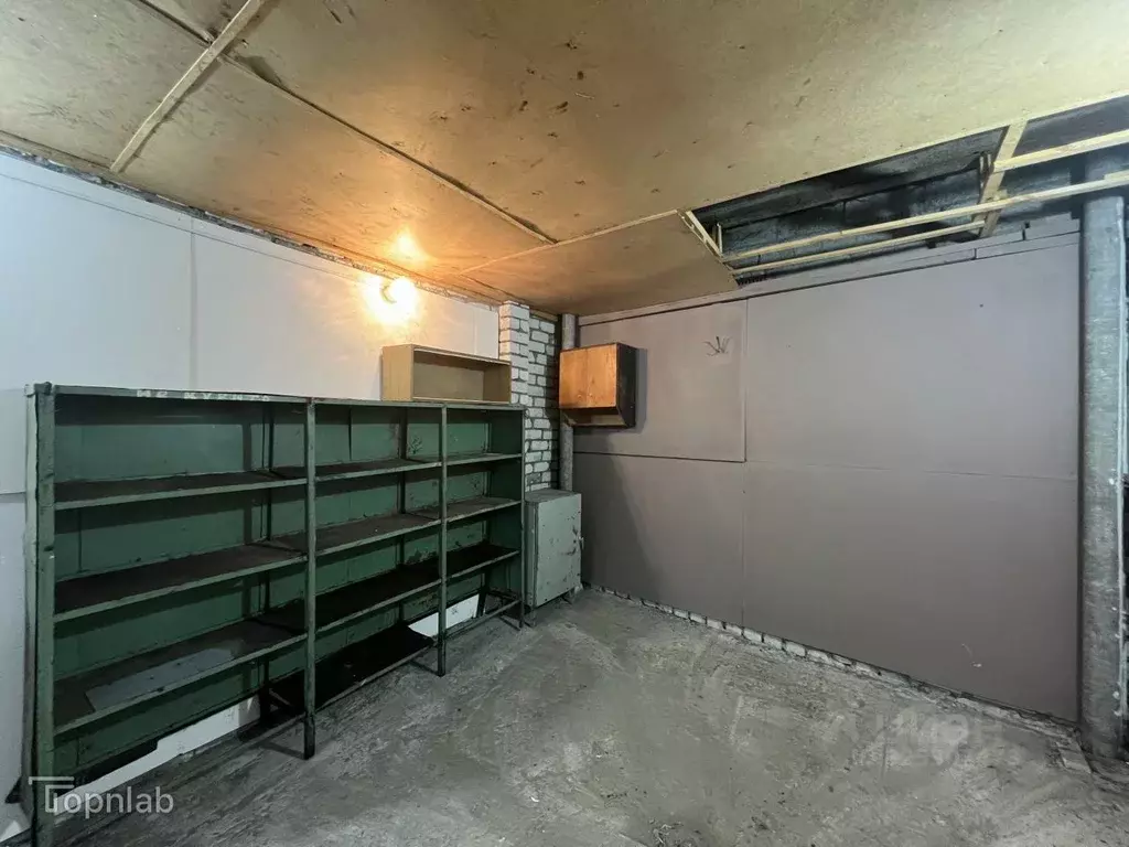 Гараж в Брянская область, Брянск Почтовая ул., 106А (24 м) - Фото 1