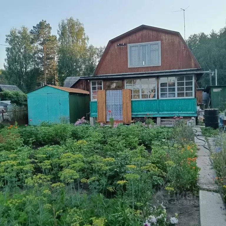 Дом в Новосибирская область, Мошковский район, Электрон СНТ  (31 м) - Фото 0