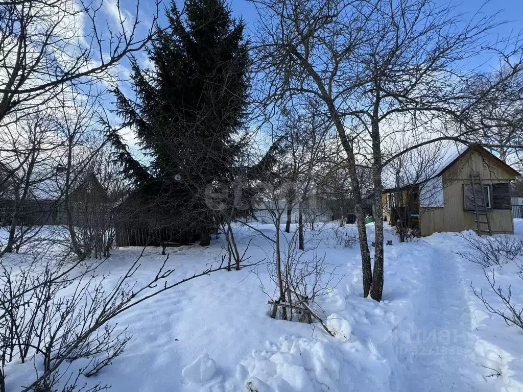 Участок в Смоленская область, Руднянский муниципальный округ, Голынки ... - Фото 2