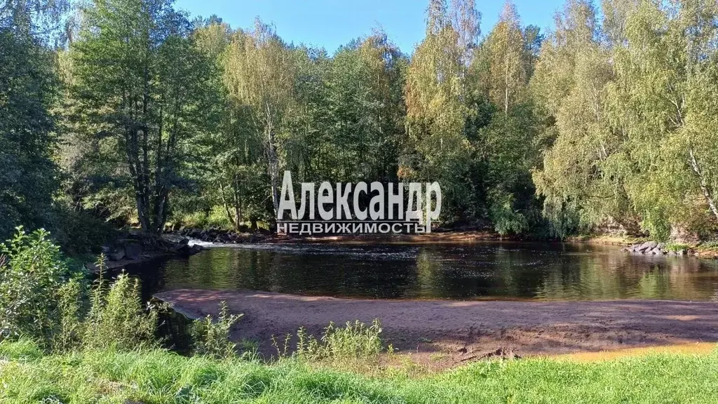 Участок в Ленинградская область, Приозерский район, Запорожское с/пос, ... - Фото 1